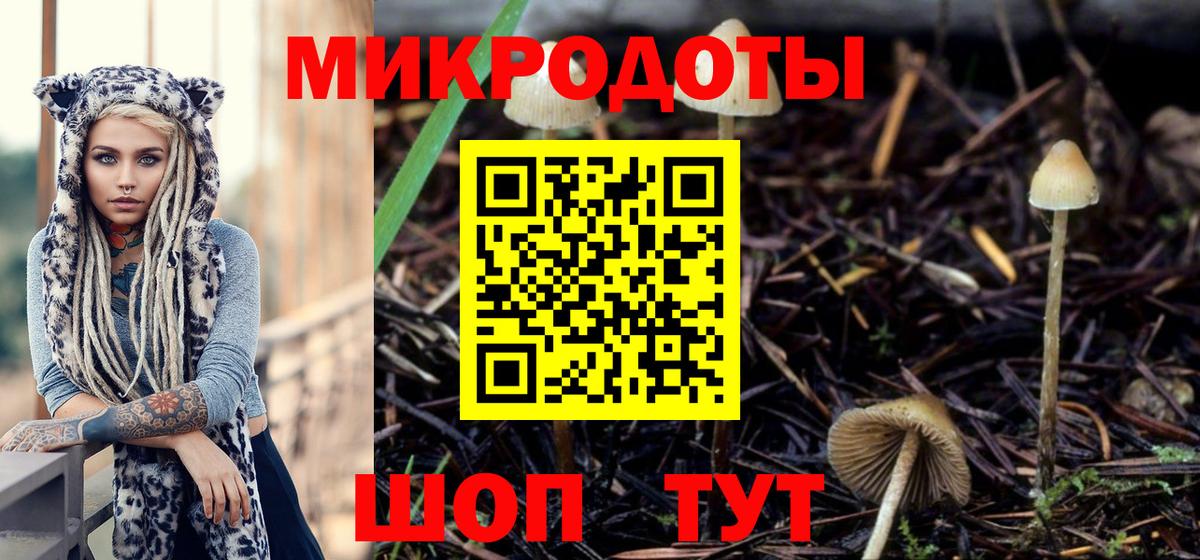 Электрогорск  где найти   Псилоцибиновые грибы Cubensis  Вход с VPN  Галлюциногенные грибы мухоморы 